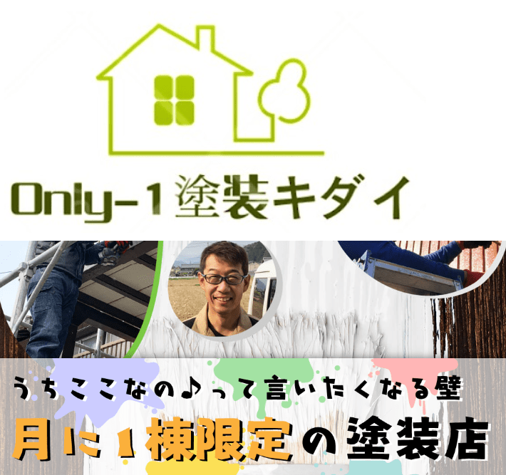 Only-1塗装キダイ