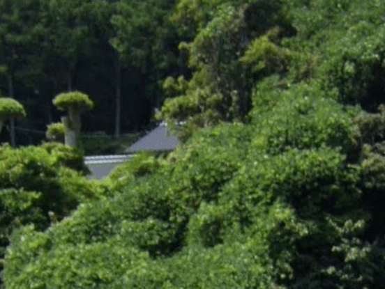 有限会社山政建設