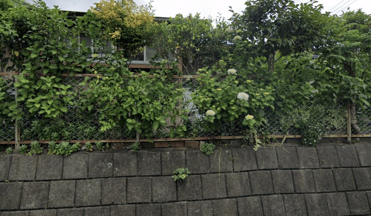 有限会社マル美改植建設