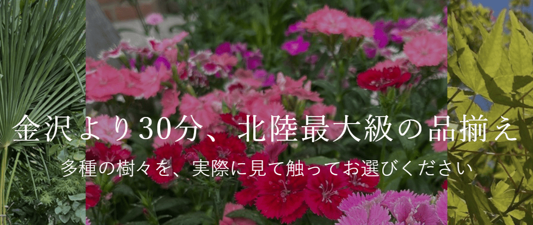 ㈱押水グリーンセンター