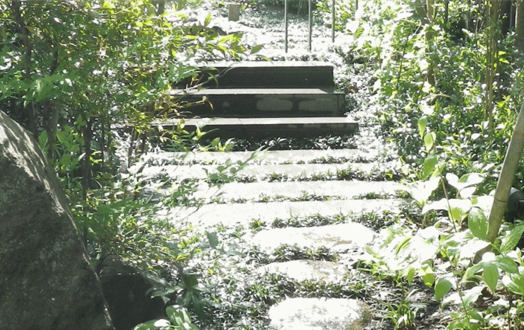 松村園芸株式会社
