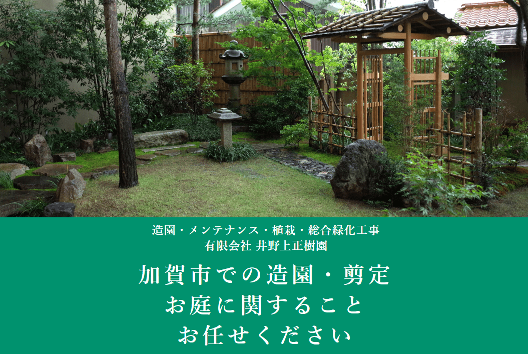 有限会社井野上正樹園