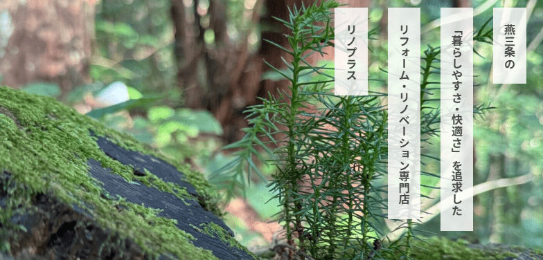 リノプラス (株)まる五建商