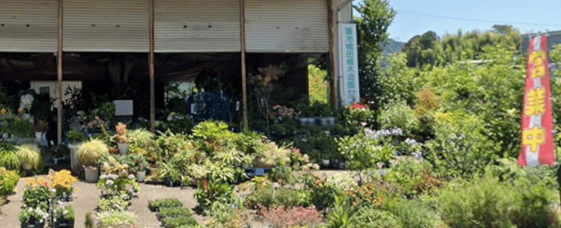 蓮池橋田植木造園センター