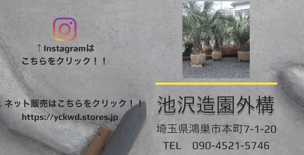池沢造園外構