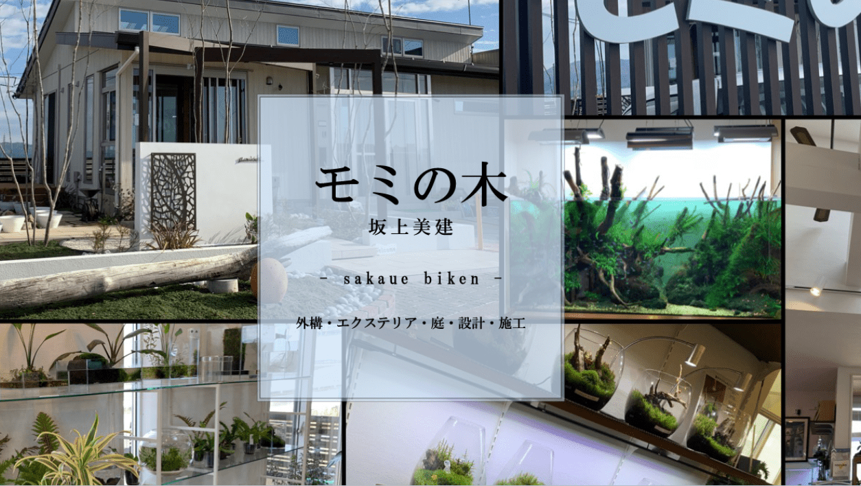 有限会社坂上美建(モミの木)