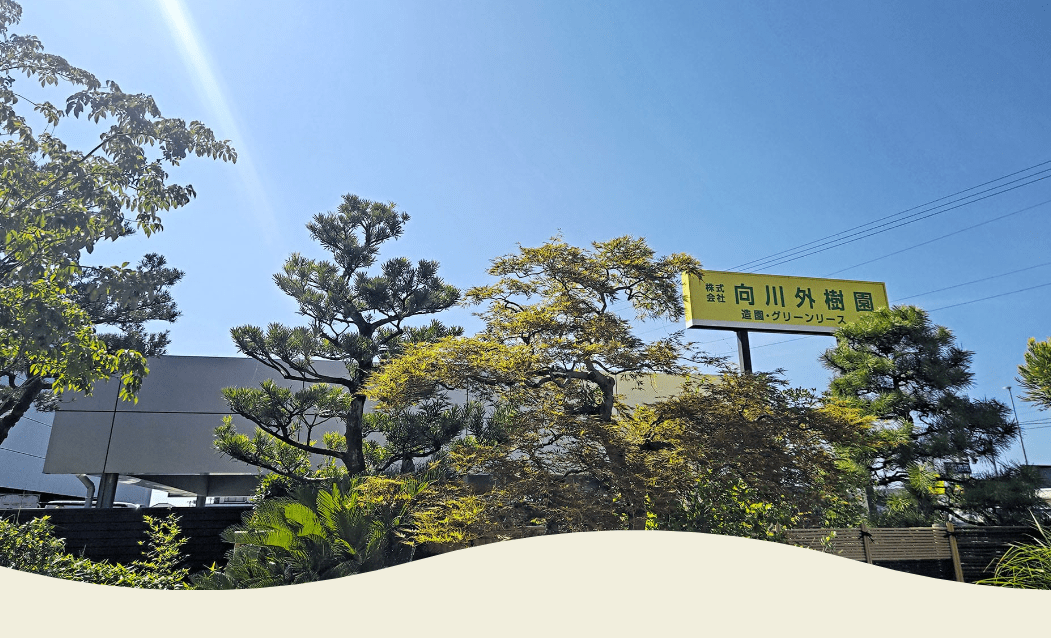 （株）向川外樹園 野々市店