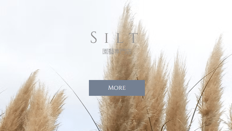 Silt | シルト