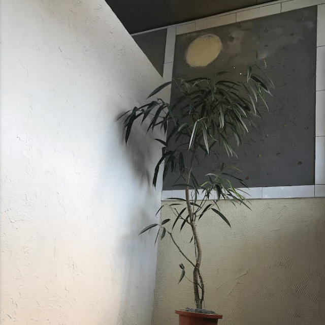 （株）大加技建