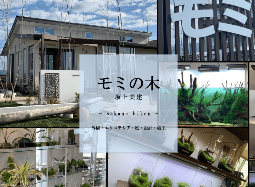 (有)坂上美建