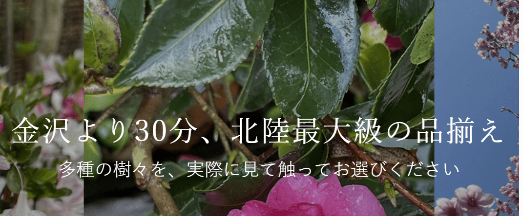 ㈱押水グリーンセンター