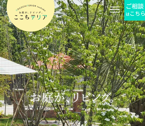 ここちテリア