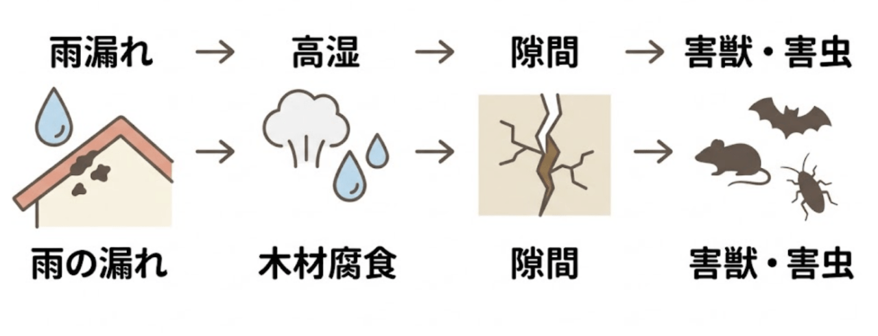 雨漏りを放置するとネズミ・コウモリ・ゴキブリが発生する?