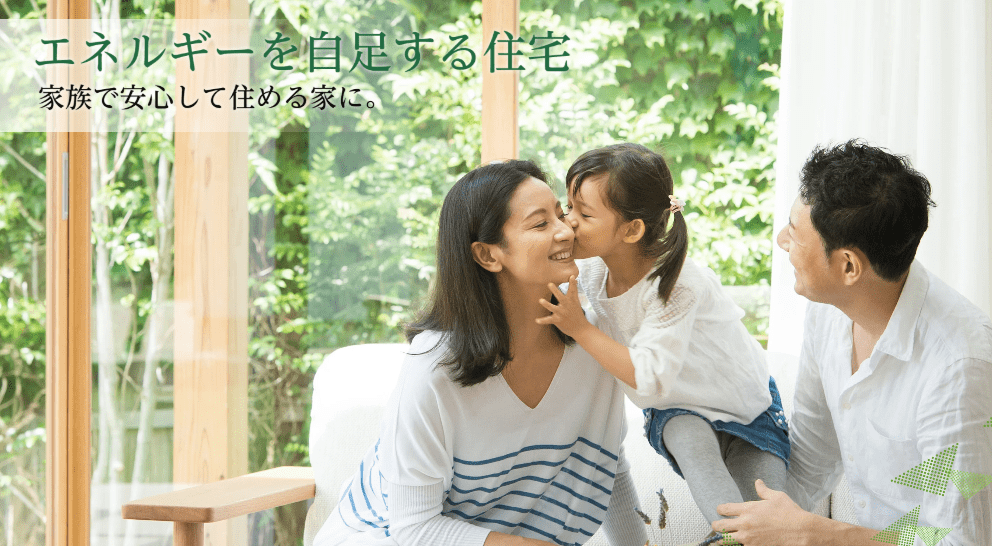 エスコシステムズ株式会社