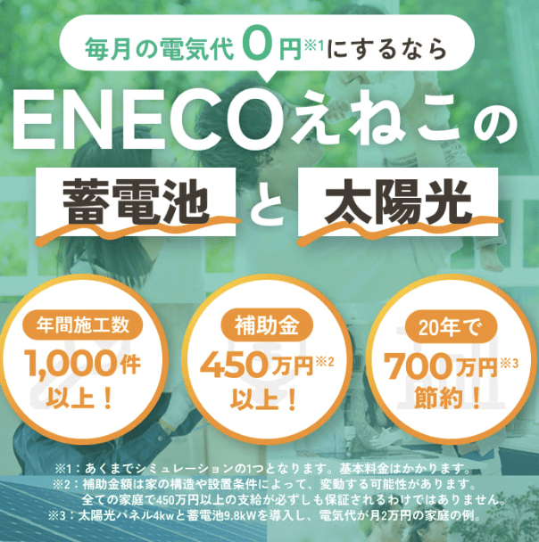 ENECO えねこ