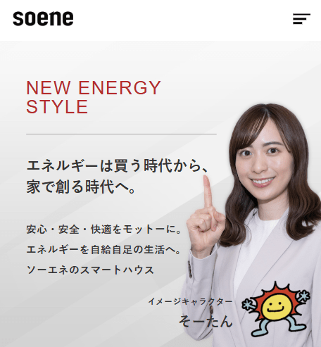 ソーエネ株式会社