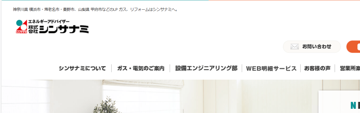 株式会社シンサナミ