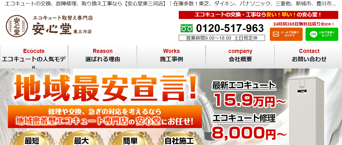 安心堂 東三河店