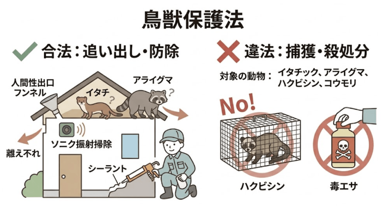 害獣プロテックの料金が「高く見える」理由を徹底解説