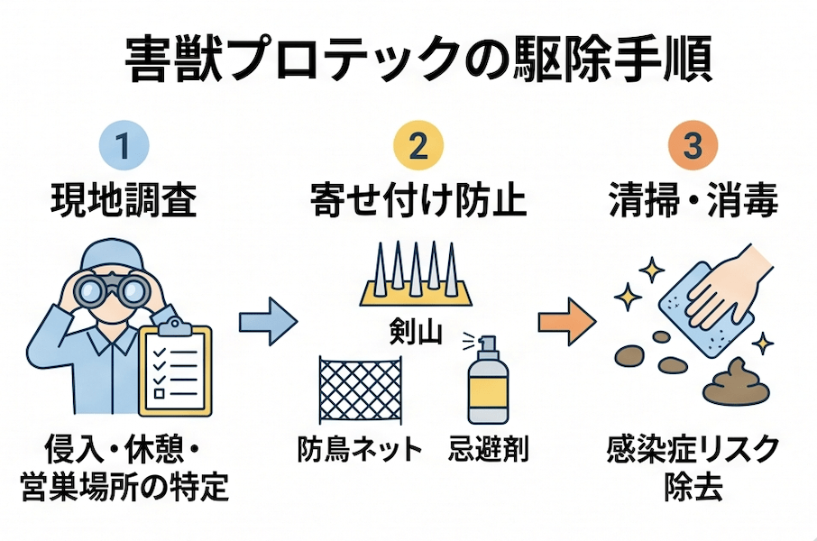 害獣プロテックに「鳩(ハト)」「ゴキブリ」の駆除は依頼できる?