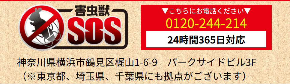 害虫獣SOS~害虫・害獣駆除(東京支店)