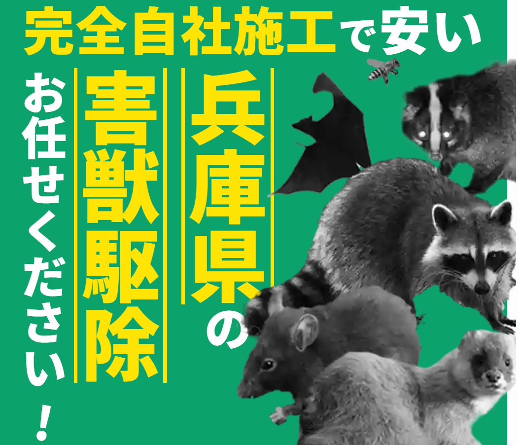 株式会社兵庫害獣対策センター