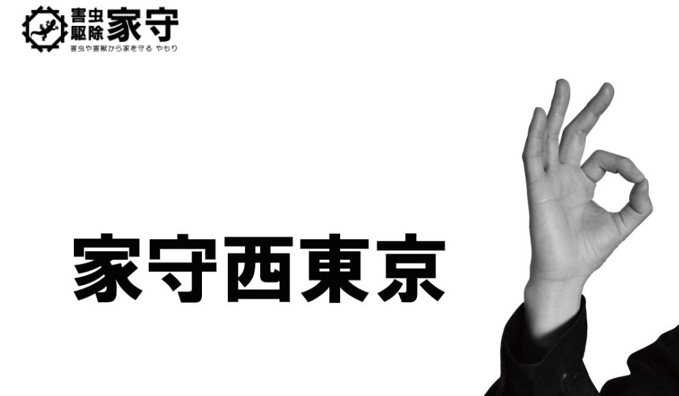 害虫駆除 家守（ヤモリ）