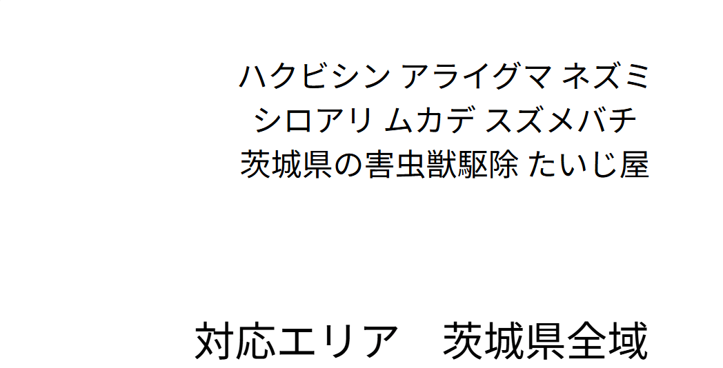 6位　たいじ屋