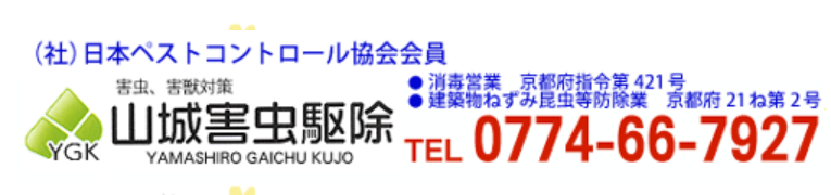 山城害虫駆除サービス