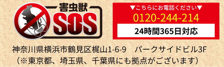 害虫獣SOS 害虫・害獣駆除 東京支店