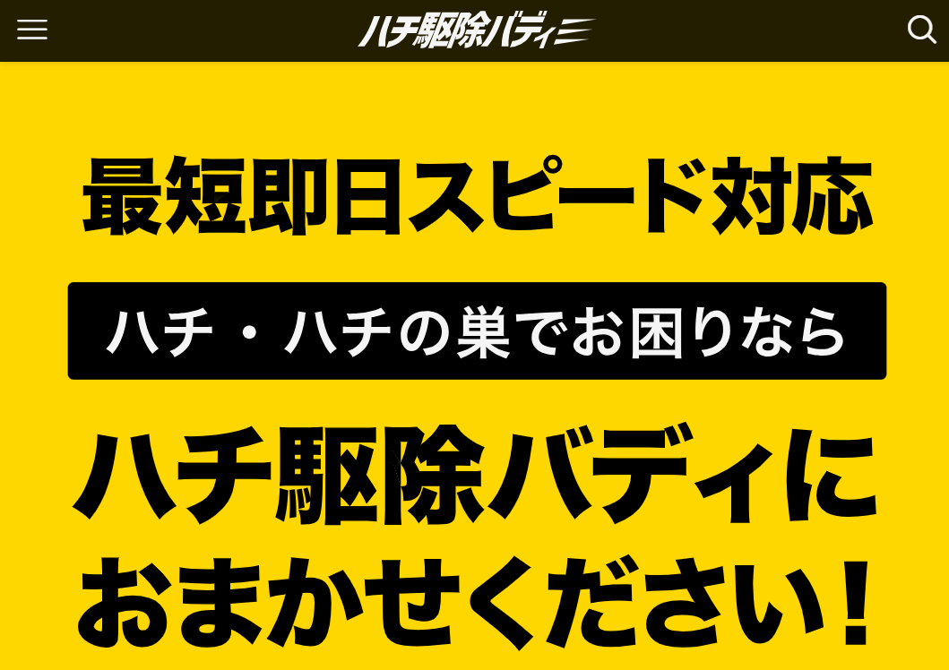 ハチ駆除バディ