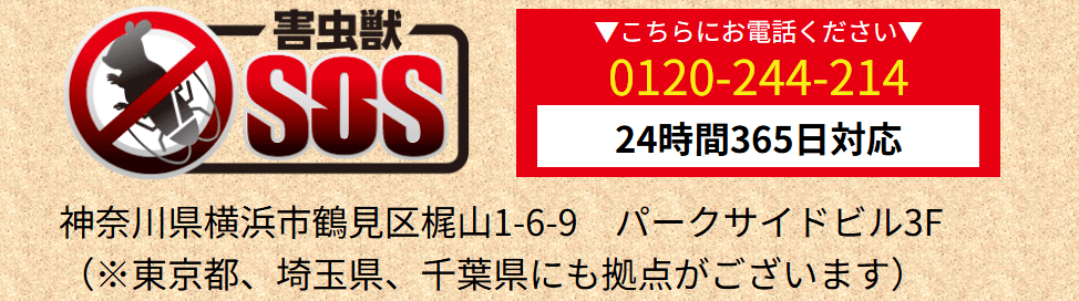 害虫獣SOS～害虫・害獣駆除(東京支店)