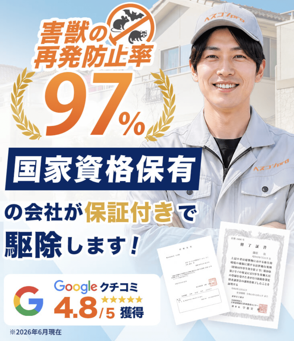 ペスコンproのサービス内容と会社概要