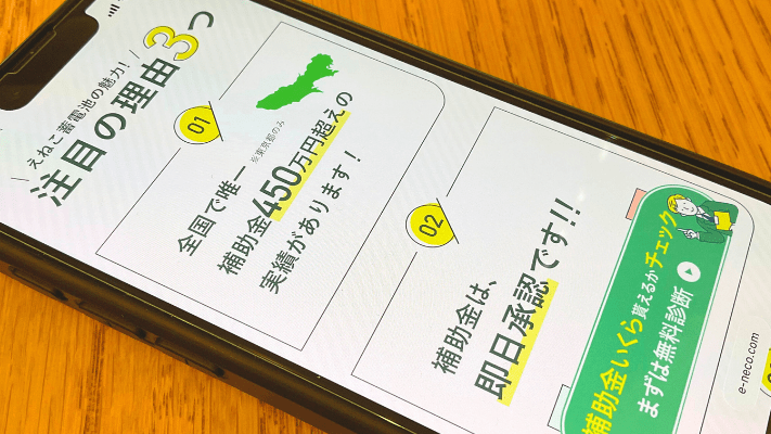 えねこの選び方