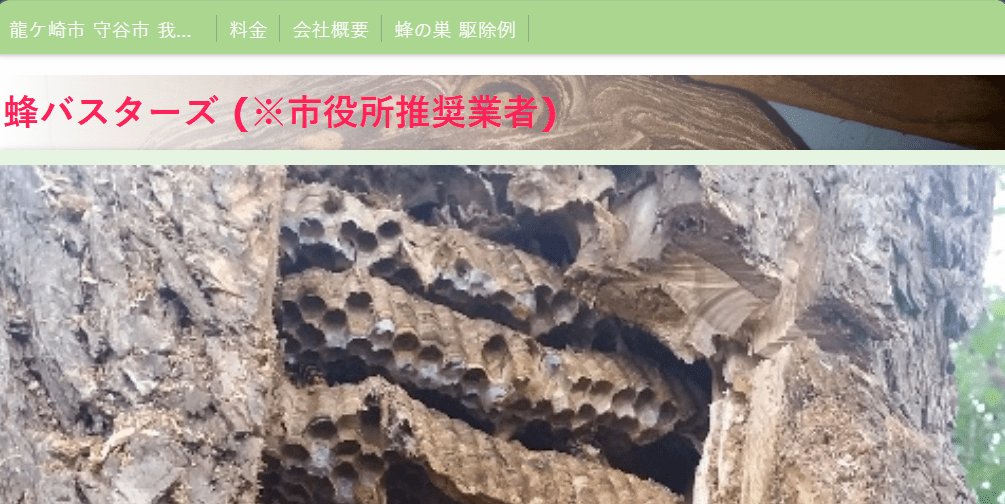 蜂バスターズ