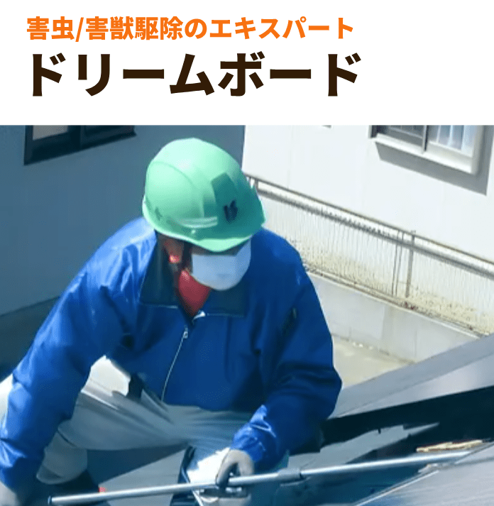 ドリームボード