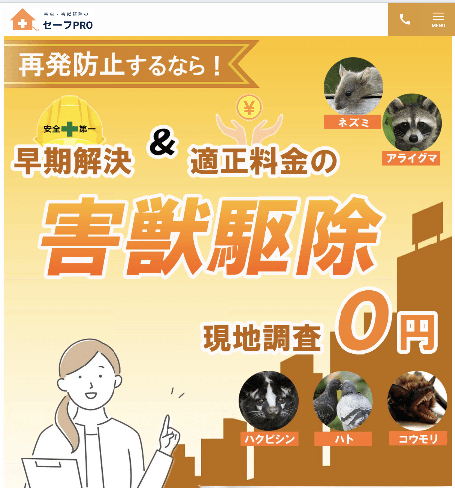 9位　セーフPRO