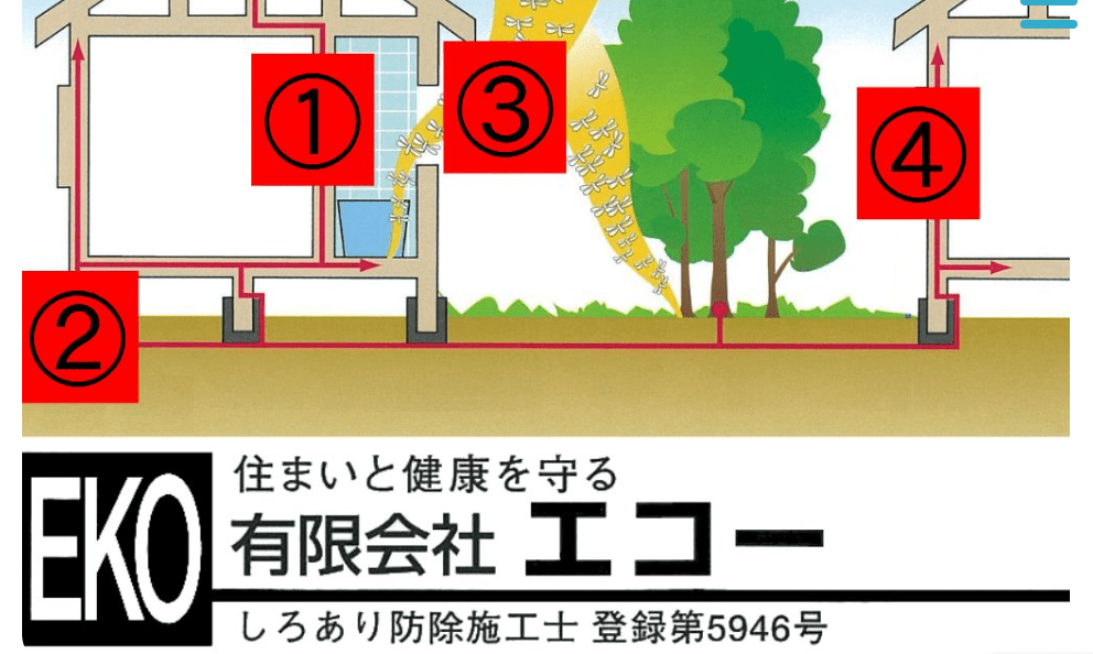 有限会社エコー