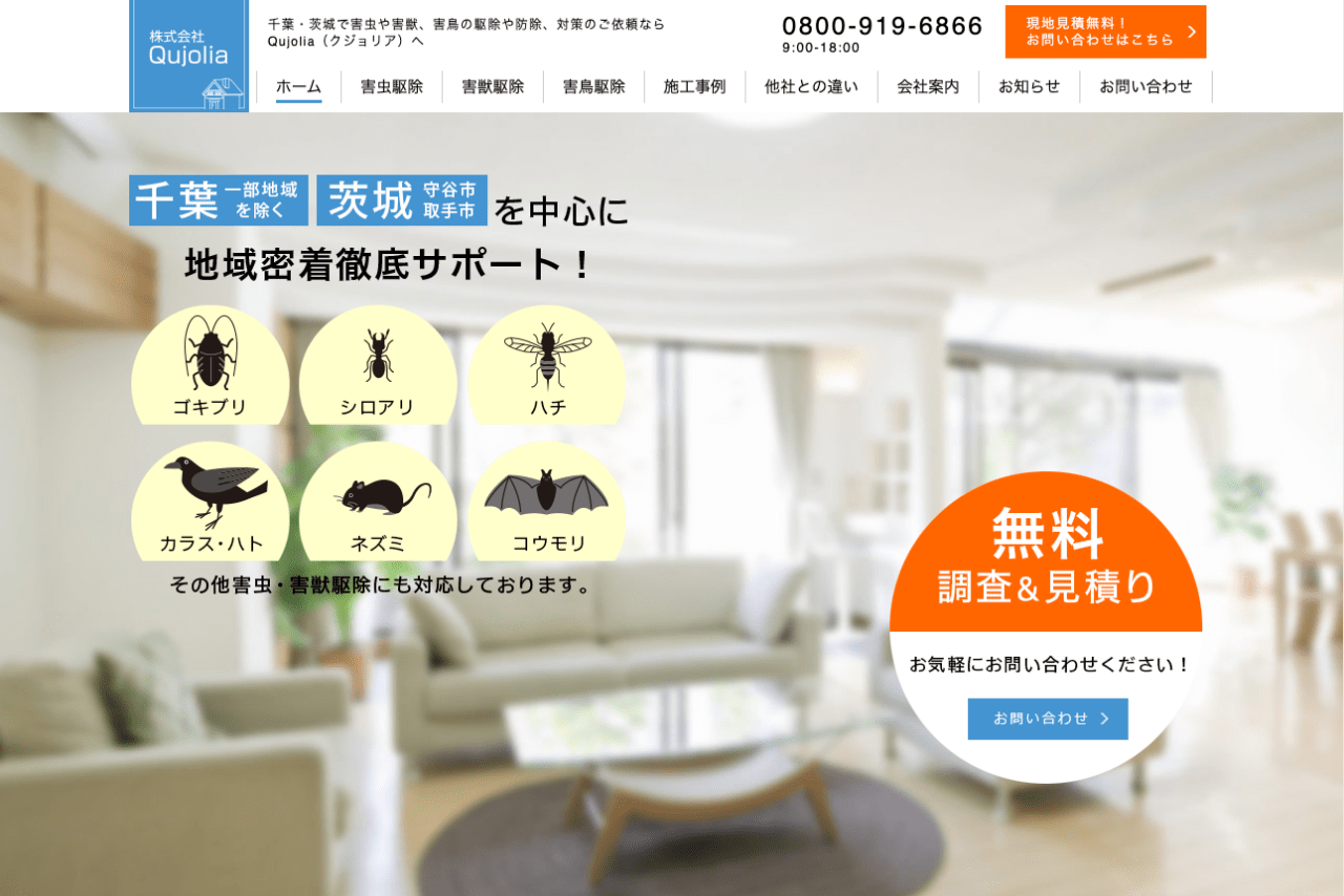 8位　株式会社Qujolia(クジョリア)