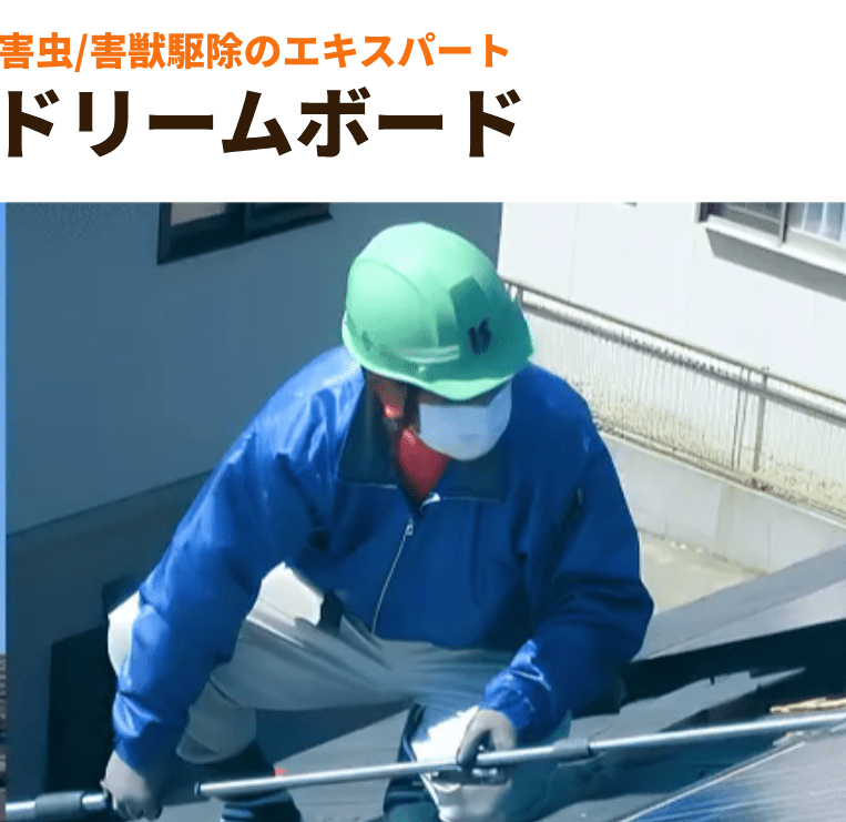 ドリームボード