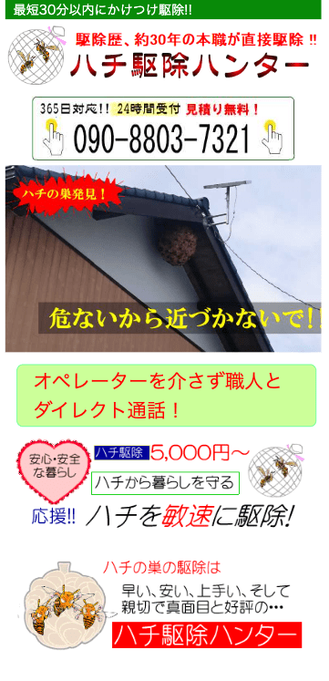 6位　ハチ駆除ハンター 