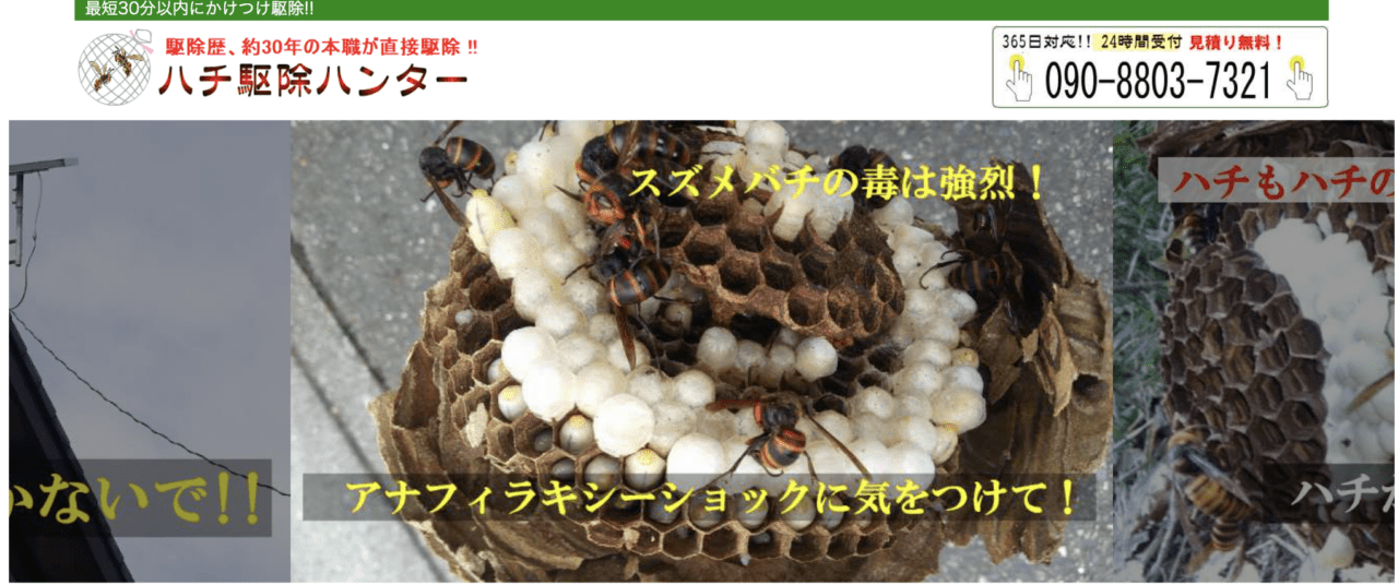 6位　ハチ駆除ハンター